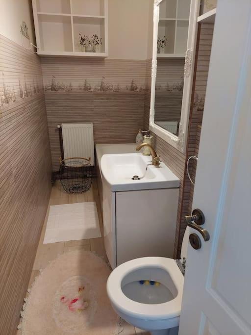 Apartament In Sighetu Marmatiei Sighetu Marmaţiei Exterior foto